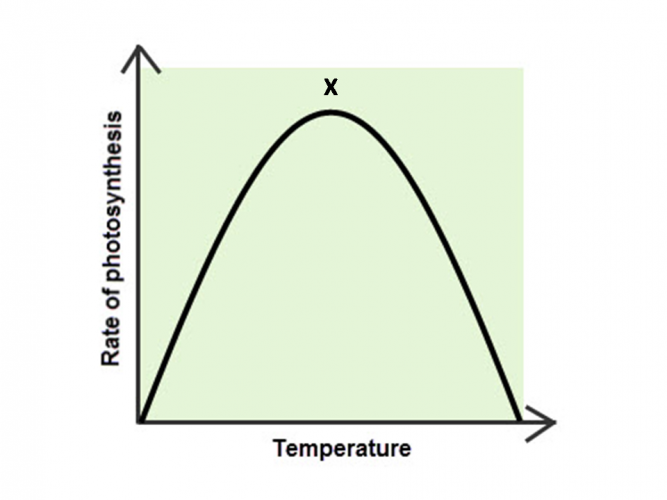 interpret-the-limiting-factors-of-photosynthesis-worksheet-edplace